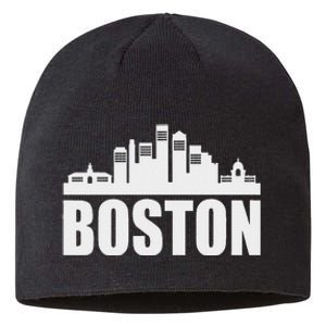 Boston Massachusetts Boston Skyline Gift Sustainable Beanie