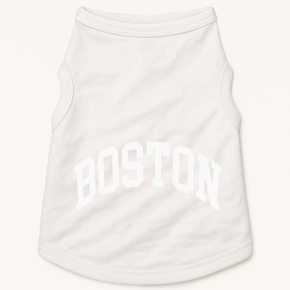 Boston Massachusetts Doggie Tank