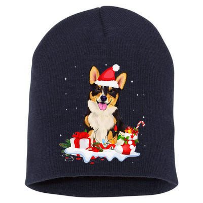 Blue Merle Cardigan Corgi Christmas Santa Hat Love Corgi Short Acrylic Beanie