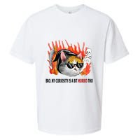 Bro My Curiosity Is A Bit Morbid Tho Sueded Cloud Jersey T-Shirt