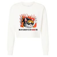 Bro My Curiosity Is A Bit Morbid Tho Cropped Pullover Crew