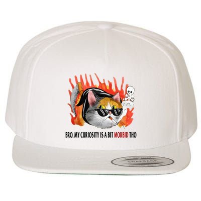 Bro My Curiosity Is A Bit Morbid Tho Wool Snapback Cap