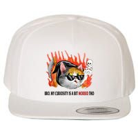 Bro My Curiosity Is A Bit Morbid Tho Wool Snapback Cap