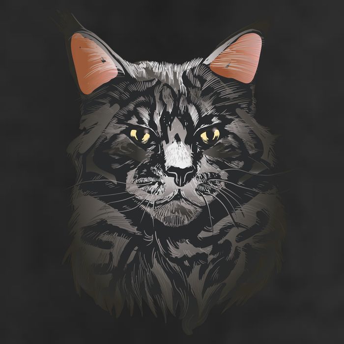 British Maine Coon Cat Portrait Cool Comfort Performance Bucket Hat