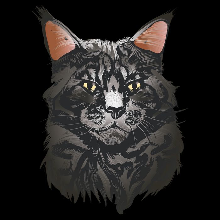 British Maine Coon Cat Portrait Cooling Performance Crew T-Shirt