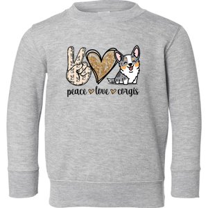 Blue Merle Corgi Gift Toddler Sweatshirt