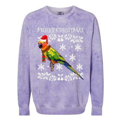 Bird Merry Christmas Ornament Sun Conure Ugly Xmas Colorblast Crewneck Sweatshirt