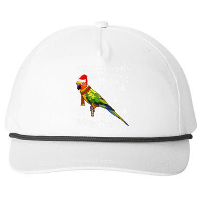 Bird Merry Christmas Ornament Sun Conure Ugly Xmas Snapback Five-Panel Rope Hat