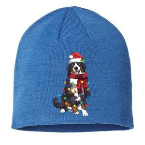 Bernese Mountain Christmas Light Funny Dog Lover Xmas Gift Funny Gift Sustainable Beanie