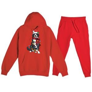 Bernese Mountain Christmas Light Funny Dog Lover Xmas Gift Funny Gift Premium Hooded Sweatsuit Set