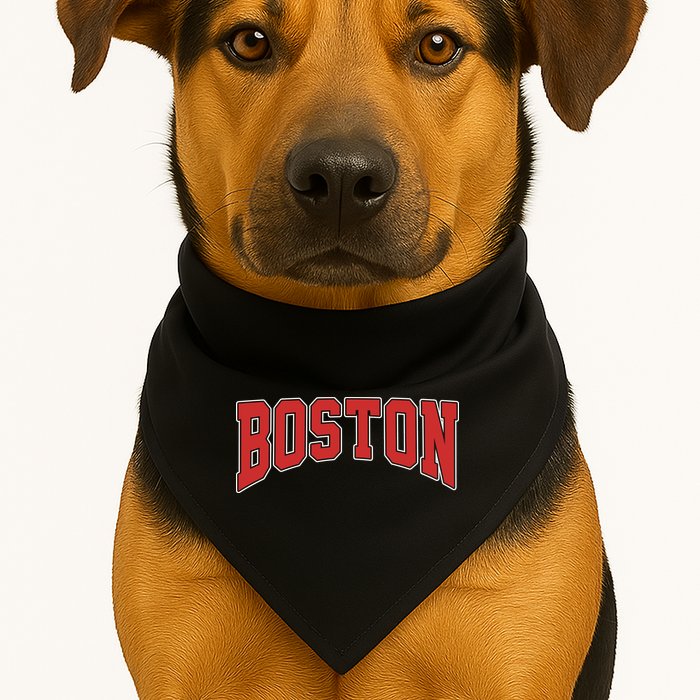 Boston Massachusetts Classic Curve USA-Made Doggie Bandana