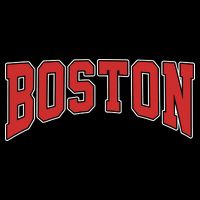 Boston Massachusetts Classic Curve USA-Made Doggie Bandana