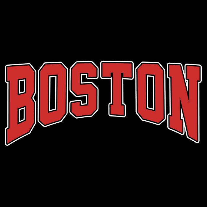 Boston Massachusetts Classic Curve USA-Made Doggie Bandana