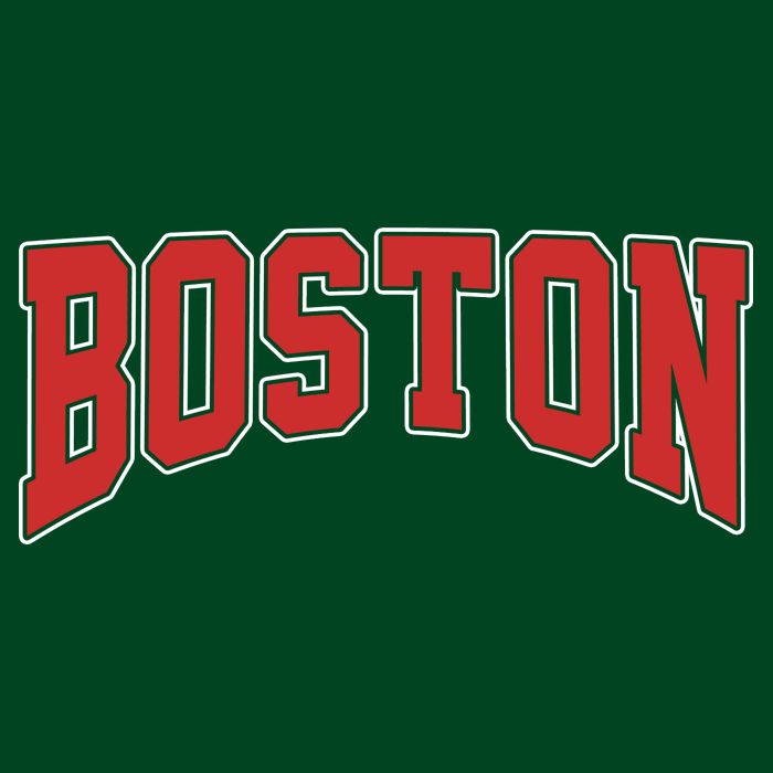 Boston Massachusetts Classic Curve T-Shirt
