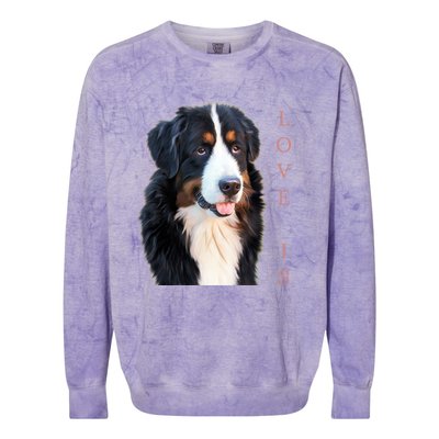 Bernese Mountain Dog Gift Dog Mom Love Gift Colorblast Crewneck Sweatshirt