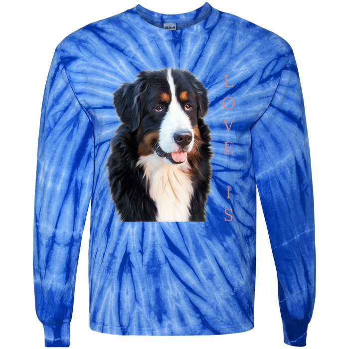 Bernese Mountain Dog Gift Dog Mom Love Gift Tie-Dye Long Sleeve Shirt