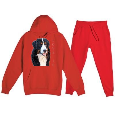 Bernese Mountain Dog Gift Dog Mom Love Gift Premium Hooded Sweatsuit Set