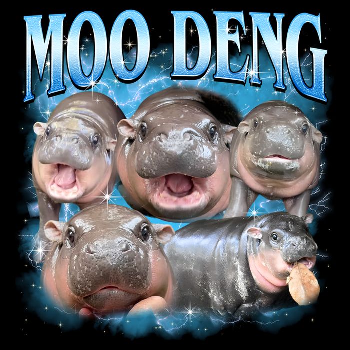 Blue Moo Deng Meme Hippo Funny Backpack