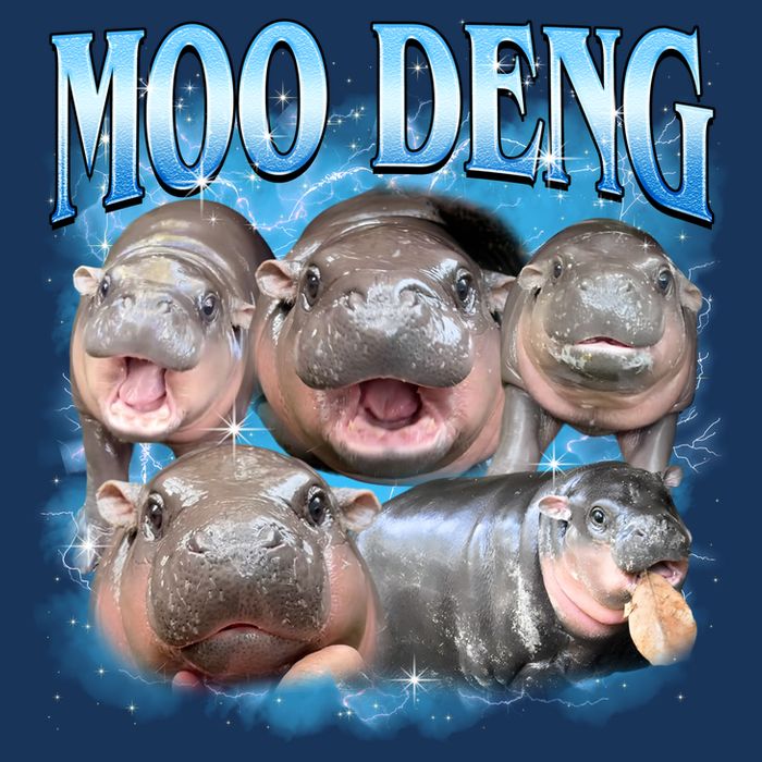 Blue Moo Deng Meme Hippo Funny Tank Top