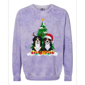 Bernese Mountain Dog Christmas Tree Lights Santa Reindeer Pj Colorblast Crewneck Sweatshirt