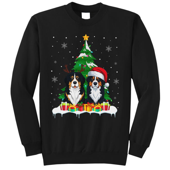 Bernese Mountain Dog Christmas Tree Lights Santa Reindeer Pj Sweatshirt