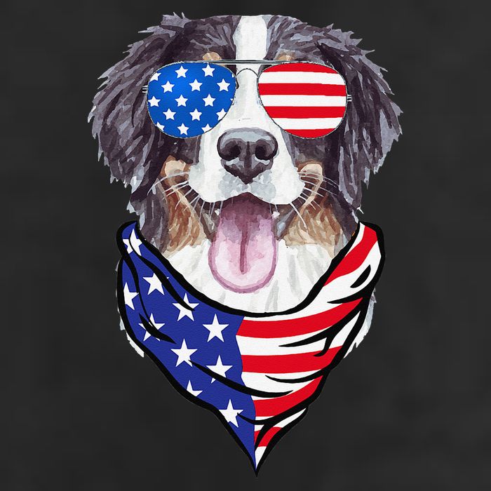 Bernese Mountain Dog American Flag Glasses 4th of July 7 Panel Mesh Trucker Snapback Hat