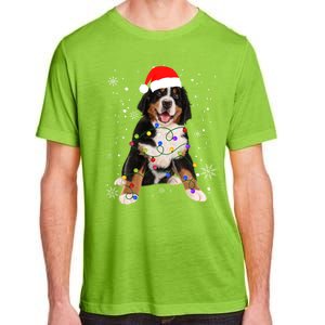 Bernese Mountain Dog Lights Christmas Matching Family Funny Gift Adult ChromaSoft Performance T-Shirt