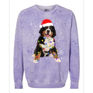 Bernese Mountain Dog Lights Christmas Matching Family Funny Gift Colorblast Crewneck Sweatshirt