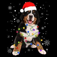 Bernese Mountain Dog Lights Christmas Matching Family Funny Gift Cooling Performance Crew T-Shirt