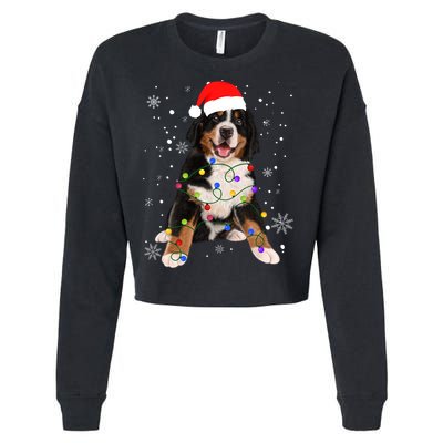 Bernese Mountain Dog Lights Christmas Matching Family Funny Gift Cropped Pullover Crew