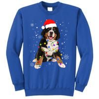 Bernese Mountain Dog Lights Christmas Matching Family Funny Gift Sweatshirt