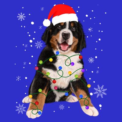 Bernese Mountain Dog Lights Christmas Matching Family Funny Gift T-Shirt