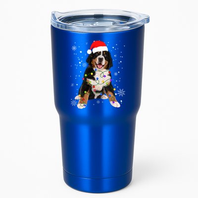 Bernese Mountain Dog Lights Christmas Matching Family Funny Gift Tumbler