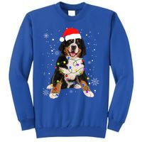 Bernese Mountain Dog Lights Christmas Matching Family Funny Gift Tall Sweatshirt