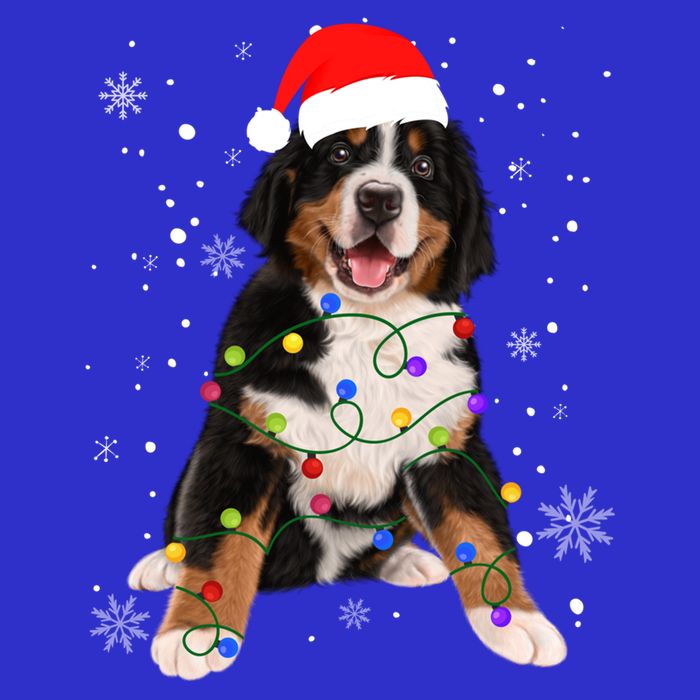 Bernese Mountain Dog Lights Christmas Matching Family Funny Gift Zip Tote Bag