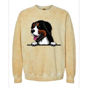 Bernese Mountain Dog Breed Popping Up Fun Dog Owner Colorblast Crewneck Sweatshirt