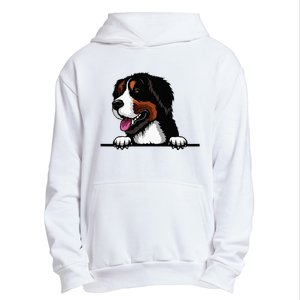 Bernese Mountain Dog Breed Popping Up Fun Dog Owner Urban Pullover Hoodie