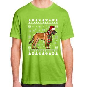 Belgian Malinoi Dog Santa Hat Xmas Ugly Christmas Cool Gift Adult ChromaSoft Performance T-Shirt