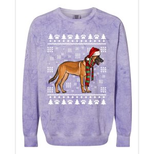 Belgian Malinoi Dog Santa Hat Xmas Ugly Christmas Cool Gift Colorblast Crewneck Sweatshirt