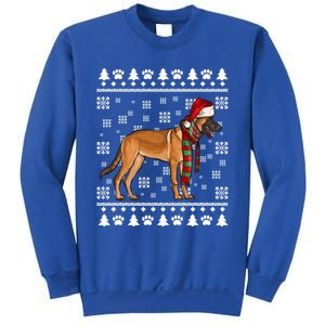 Belgian Malinoi Dog Santa Hat Xmas Ugly Christmas Cool Gift Sweatshirt