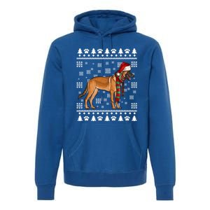 Belgian Malinoi Dog Santa Hat Xmas Ugly Christmas Cool Gift Premium Hoodie