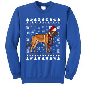 Belgian Malinoi Dog Santa Hat Xmas Ugly Christmas Cool Gift Tall Sweatshirt