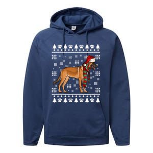 Belgian Malinoi Dog Santa Hat Xmas Ugly Christmas Cool Gift Performance Fleece Hoodie