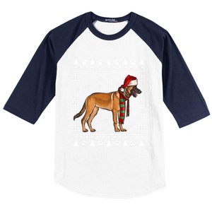 Belgian Malinoi Dog Santa Hat Xmas Ugly Christmas Cool Gift Baseball Sleeve Shirt