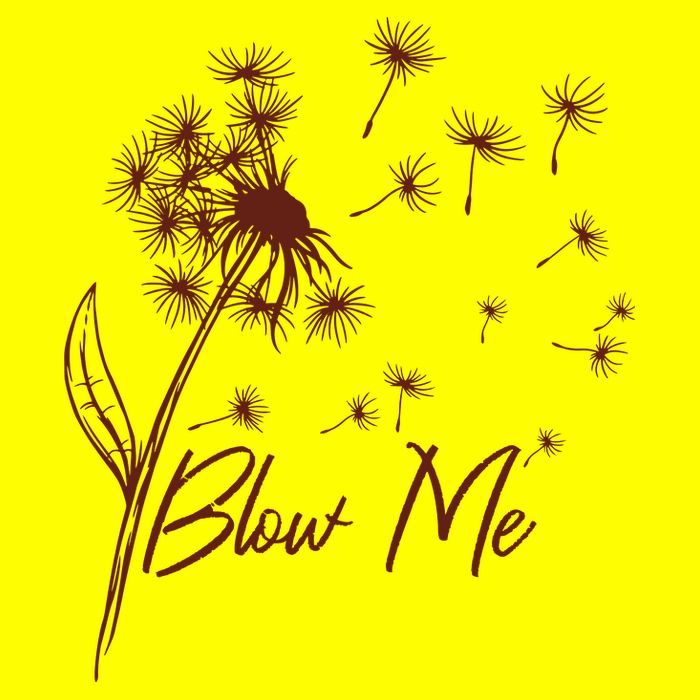 Blow Me Dandelion Funny T-Shirt