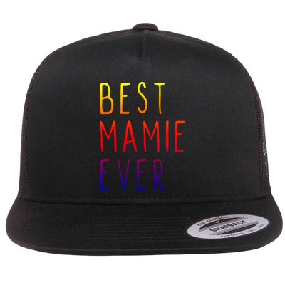 Best Mamie Ever Family Funny Cool Gift Flatbill Hat