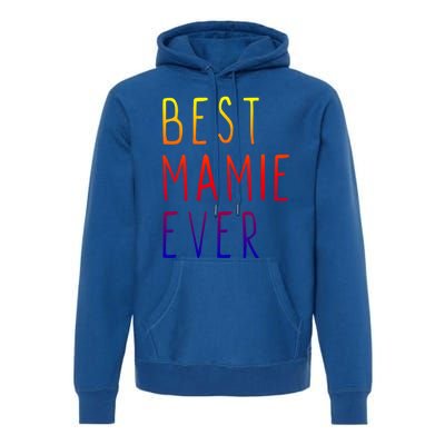 Best Mamie Ever Family Funny Cool Gift Premium Hoodie