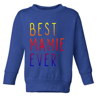 Best Mamie Ever Family Funny Cool Gift Toddler Sweatshirt