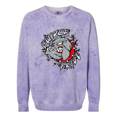 Bulldog Mascot English Bulldog Pride And Loyalty Colorblast Crewneck Sweatshirt