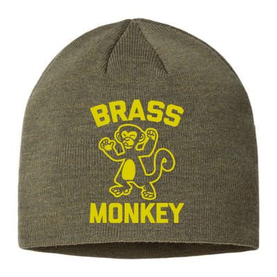 Brass Monkey Funky Monkey Sustainable Beanie